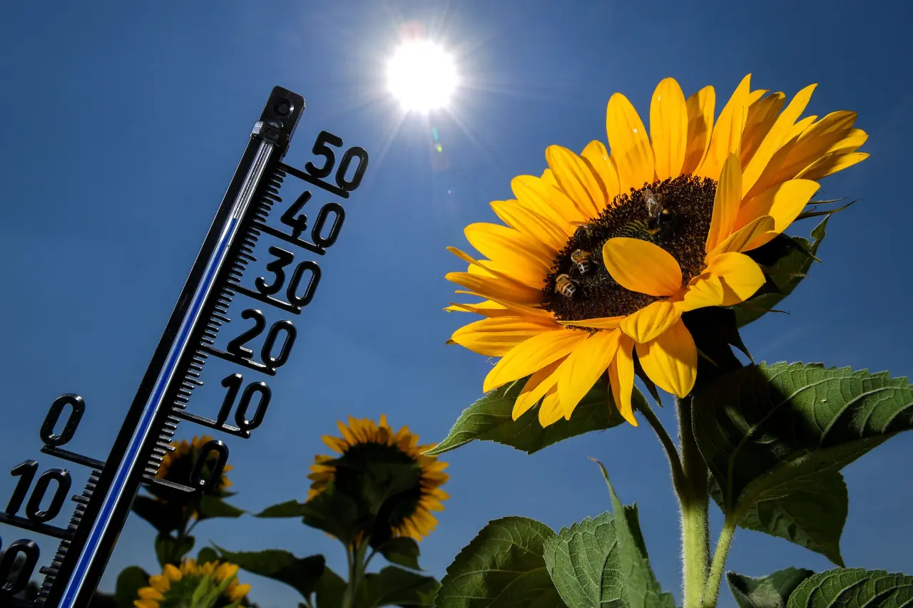 Zomer 2018 in belgie was de warmste sinds 1833