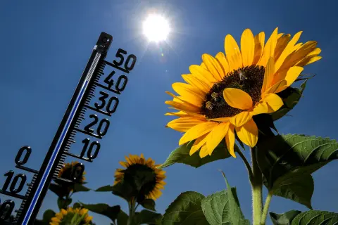 Zomer 2018 in belgie was de warmste sinds 1833